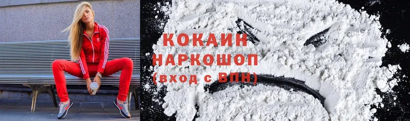 где можно купить наркотик  Борзя  Cocaine Боливия 