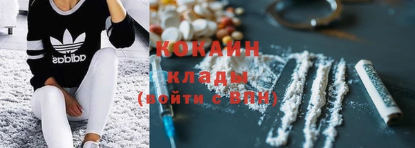 стаф Михайлов