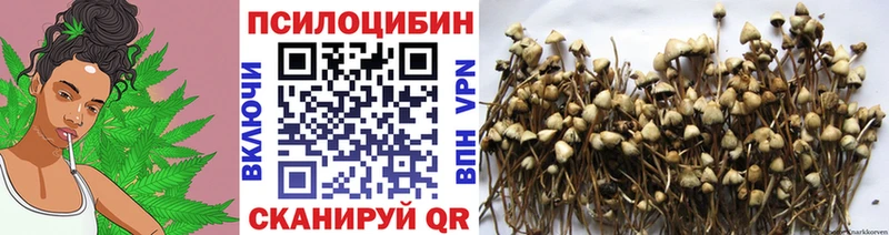 Псилоцибиновые грибы Magic Shrooms Борзя